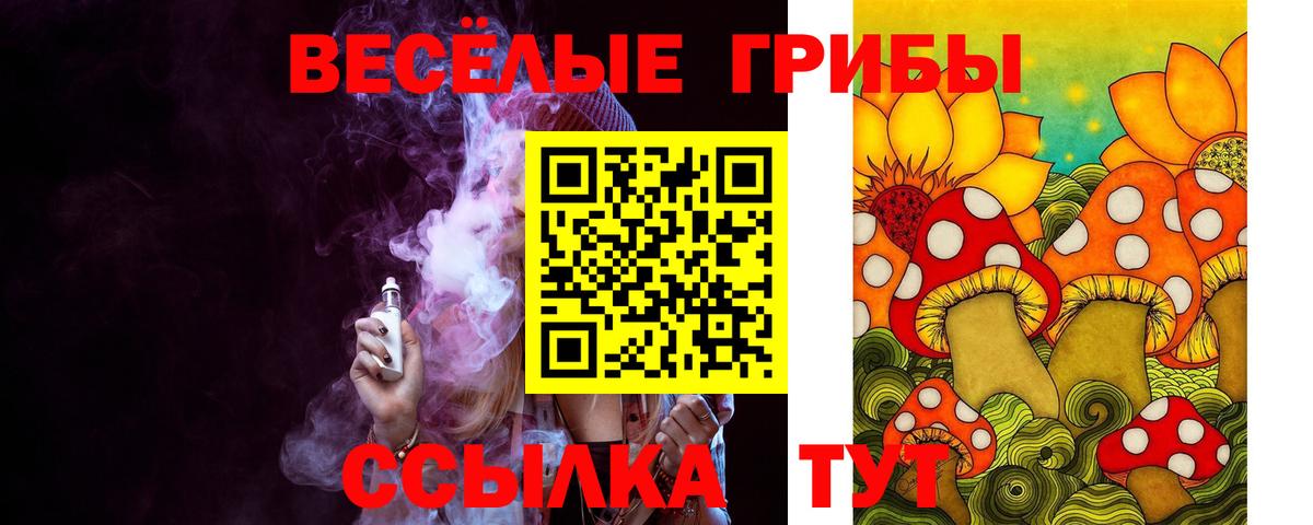Псилоцибиновые грибы Psilocybine cubensis Ивантеевка