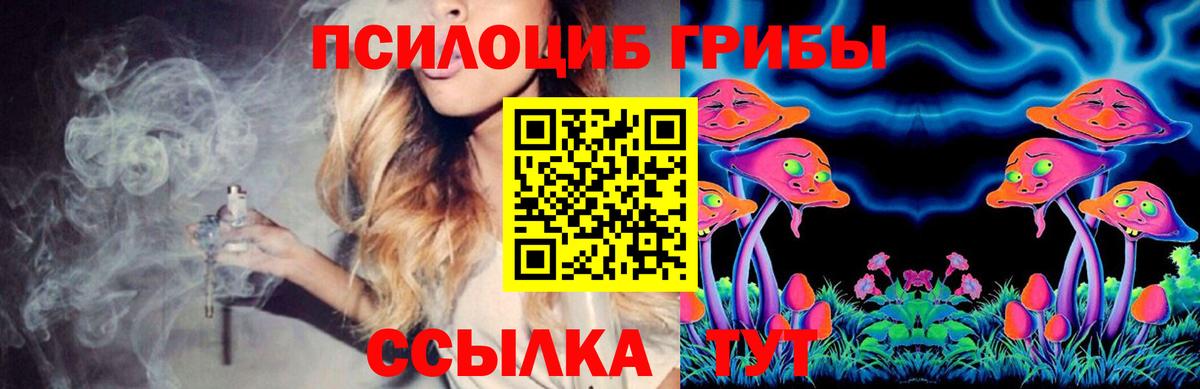 Ивантеевка  Галлюциногенные грибы Psilocybe  цены   Галлюциногенные грибы мицелий  Вход с VPN 